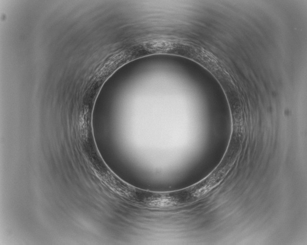 X0000060240460200510281123