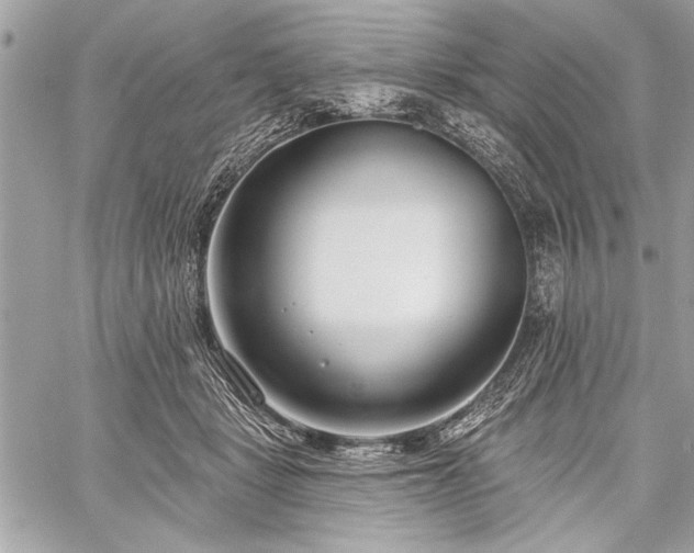 X0000060240461200510281123