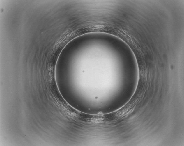 X0000060240462200510281123