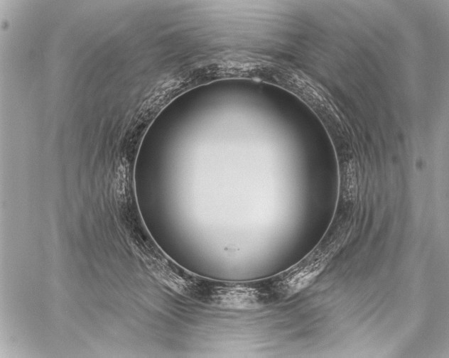 X0000060240463200510281123