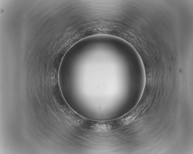 X0000060240464200510281123