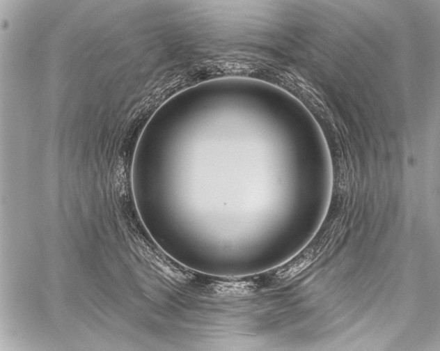 X0000060240465200510281123