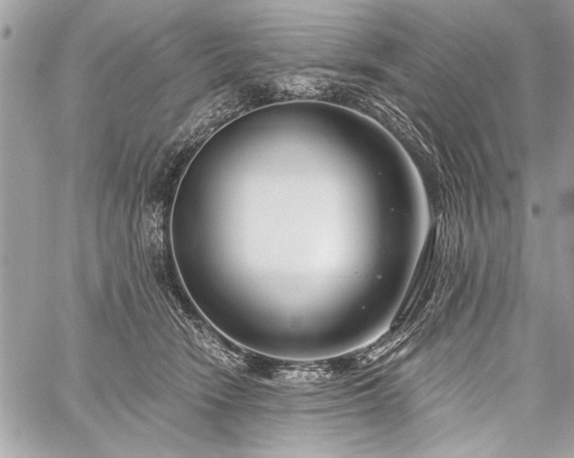 X0000060240466200510281123