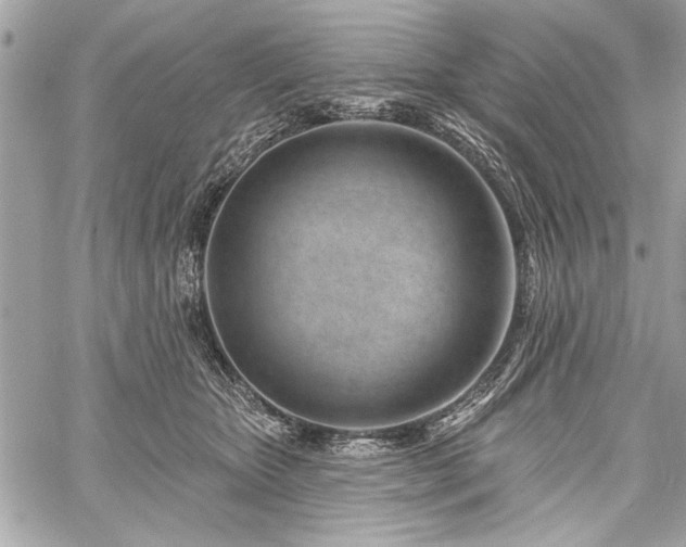 X0000060240467200510281123