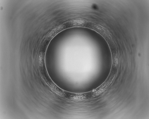 X0000060240468200510281123