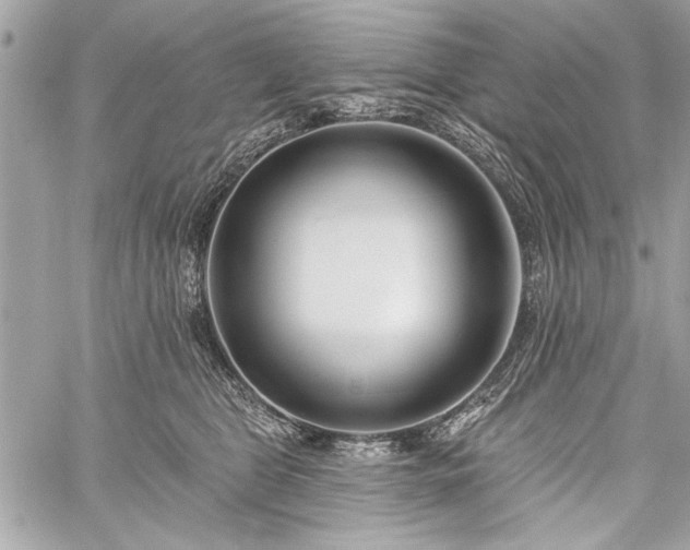 X0000060240469200510281123