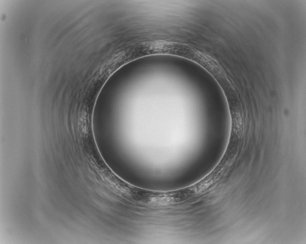 X0000060240470200510281123