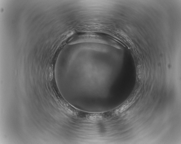 X0000060240471200510281123