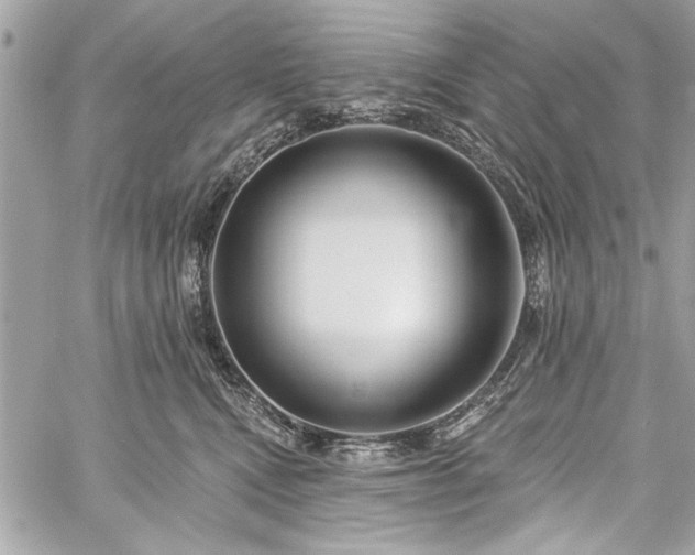 X0000060240472200510281123