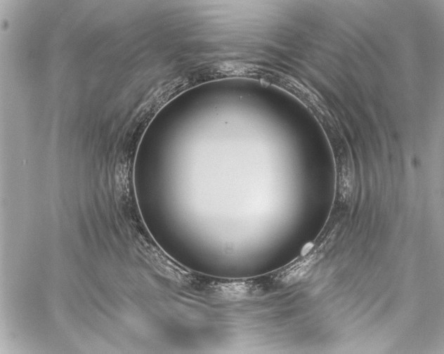 X0000060240473200510281123