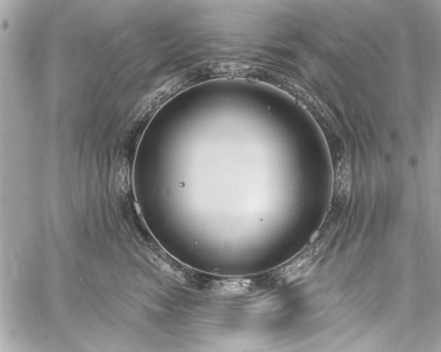 X0000060240474200510281123