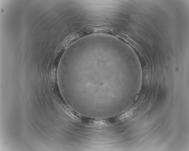 X0000060240475200510281123