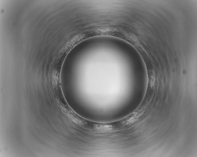 X0000060240476200510281123