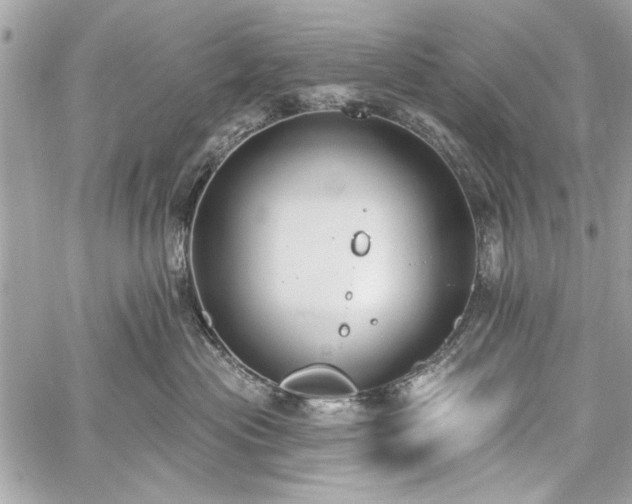 X0000060240477200510281123