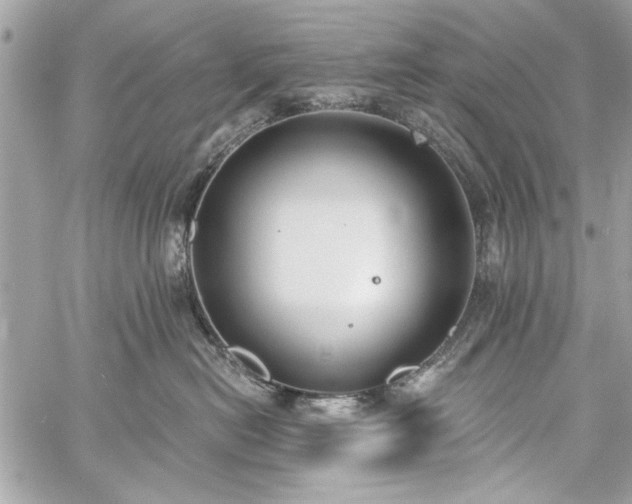 X0000060240478200510281124