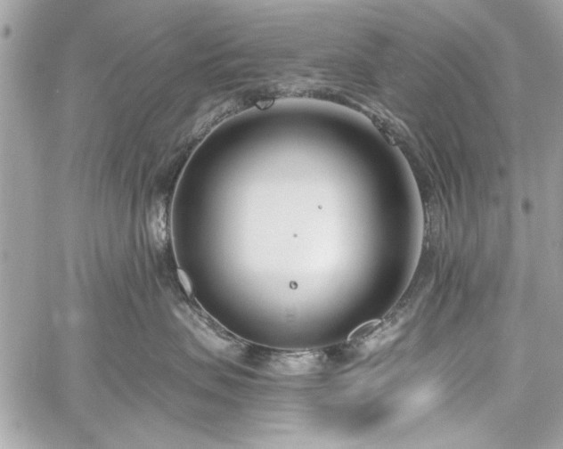 X0000060240479200510281124