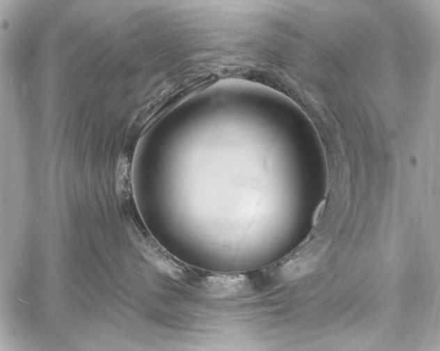 X0000060240480200510281124