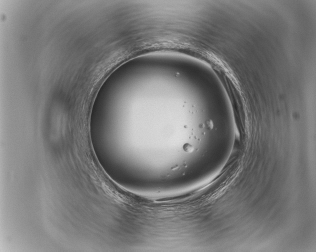 X0000060240481200510281123