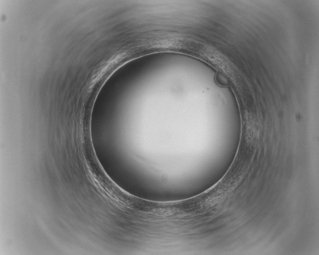 X0000060240482200510281123