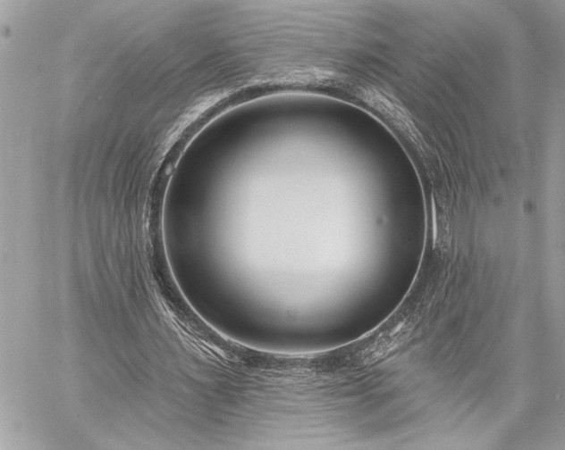 X0000060240483200510281123