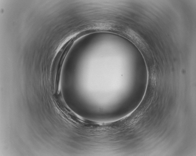 X0000060240484200510281123