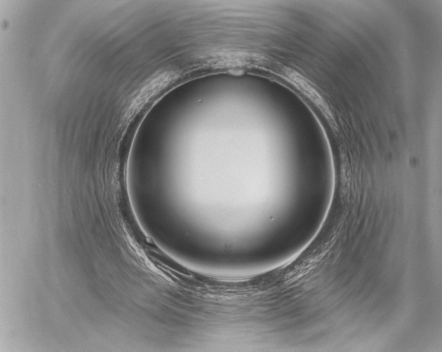 X0000060240485200510281123