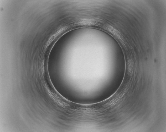 X0000060240486200510281123