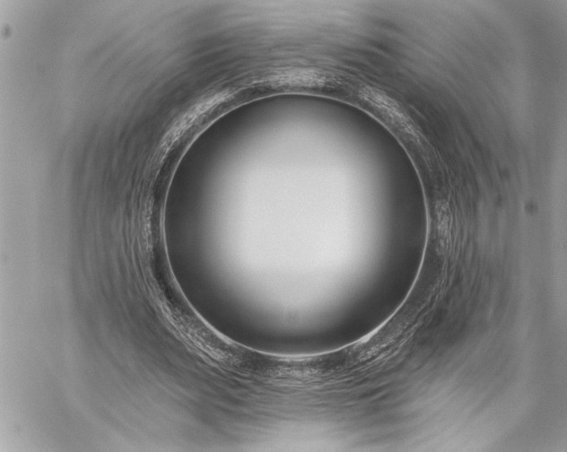 X0000060240487200510281123