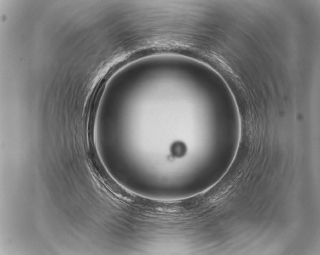 X0000060240488200510281123