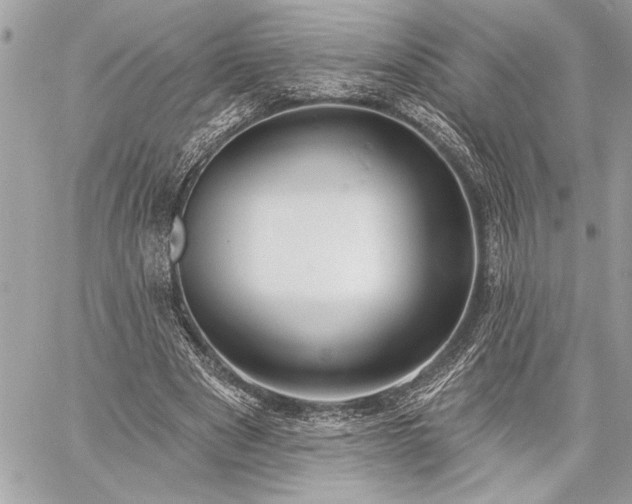 X0000060240489200510281123