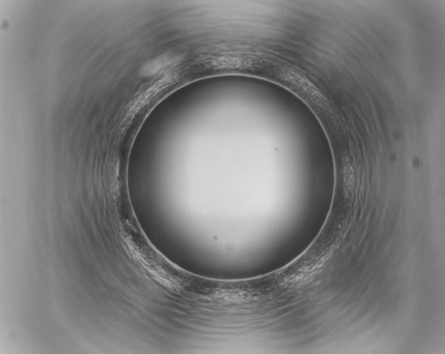 X0000060240490200510281123