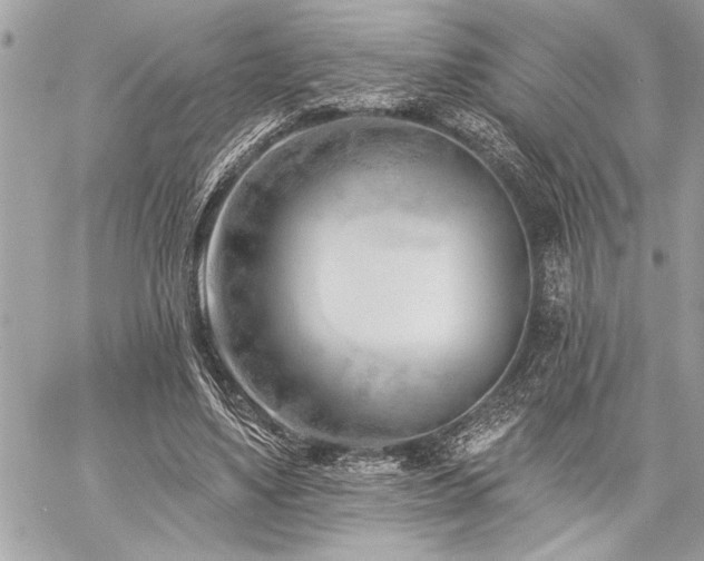 X0000060240491200510281123