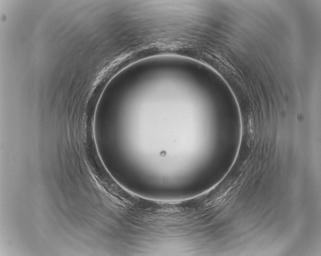 X0000060240492200510281123