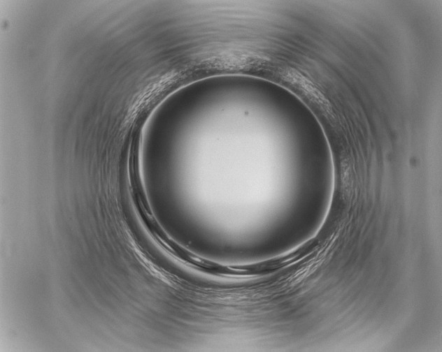 X0000060240493200510281123