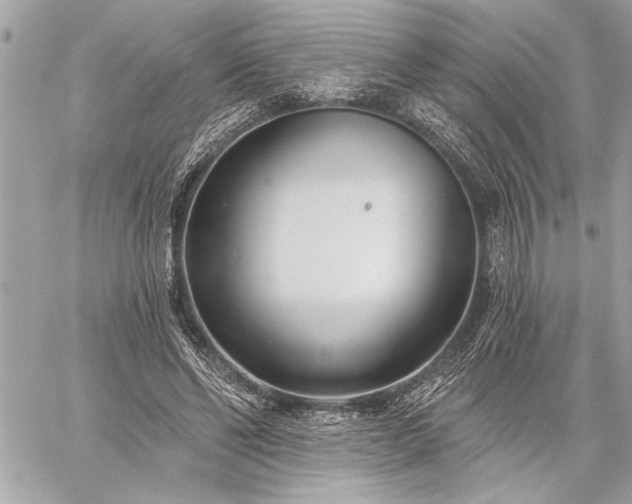 X0000060240494200510281123