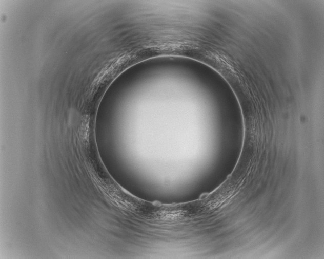 X0000060240495200510281123