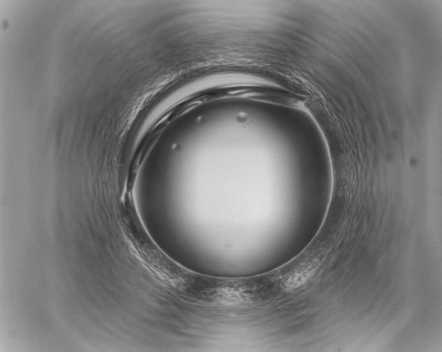 X0000060240496200510281122