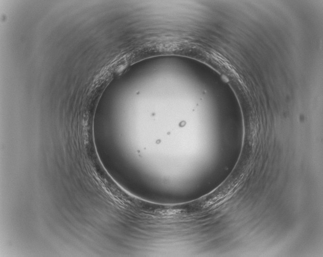 X0000060240497200510281122