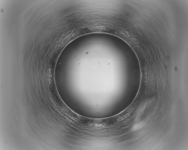 X0000060240498200510281122