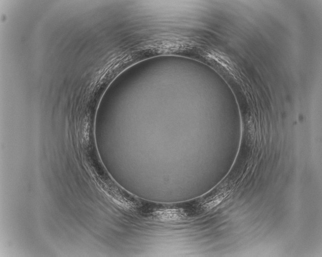 X0000060240499200510281122