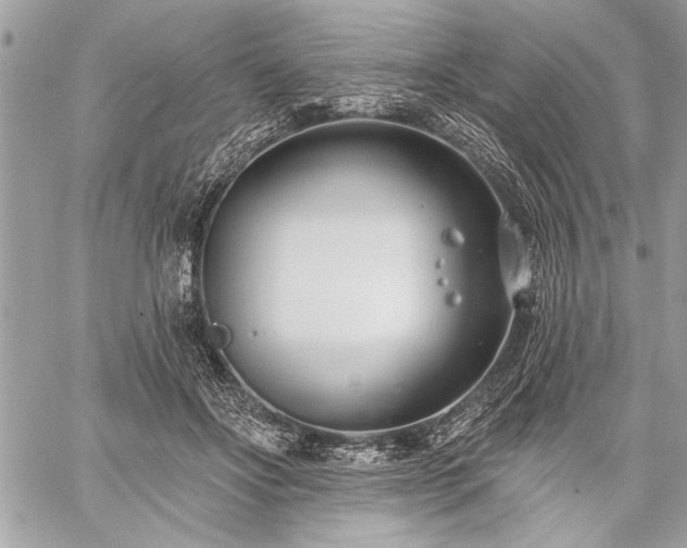 X0000060240502200510281122