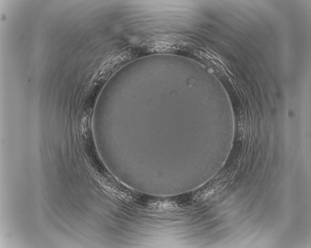 X0000060240503200510281122