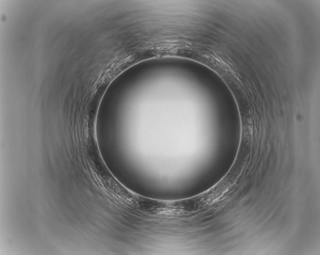 X0000060240504200510281122