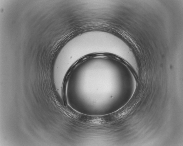 X0000060240505200510281122