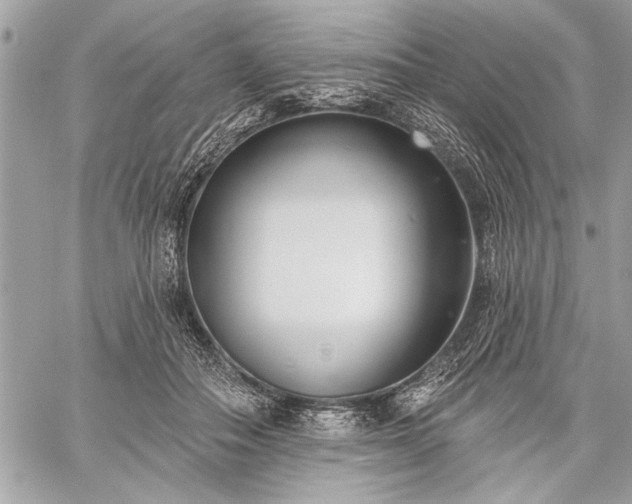 X0000060240506200510281122