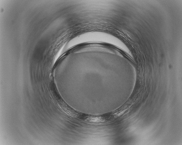 X0000060240507200510281122