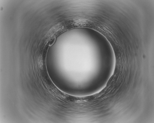 X0000060240508200510281122