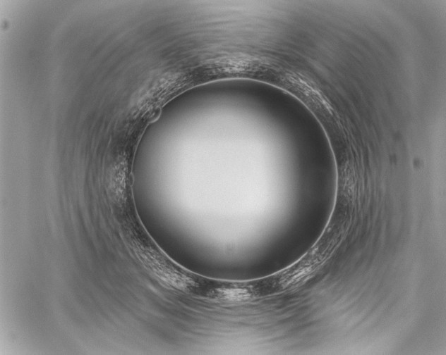 X0000060240509200510281122