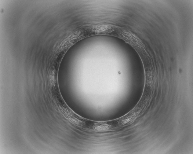 X0000060240510200510281122