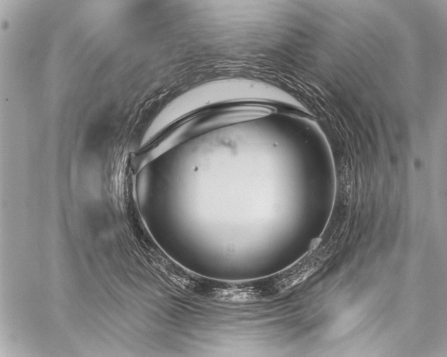 X0000060240511200510281122